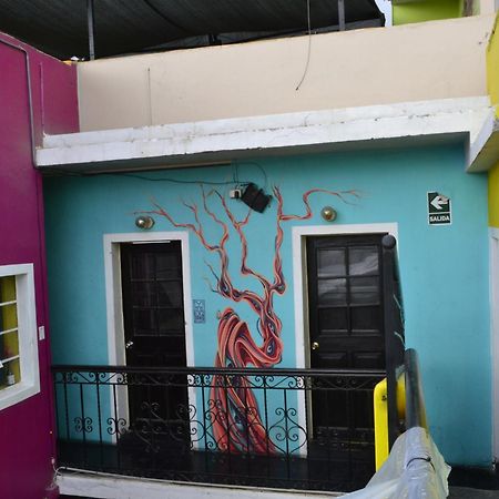 Maison Verte - Budget Edition Arequipa Ngoại thất bức ảnh